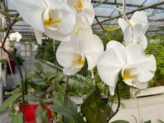 -兰陵国家农业公园