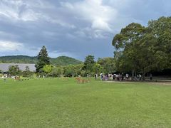 -奈良公园