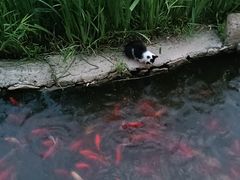 -西海子公园