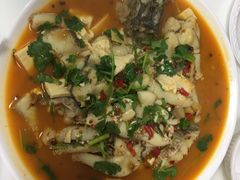 -煲来饱去冷水鱼