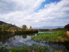 -才村湿地公园