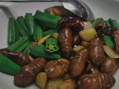 -来哥菜馆·大厨烹小鲜