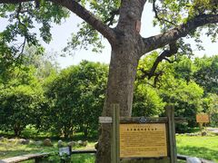 -福建鲤鱼洲酒店