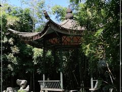 -杭州植物园