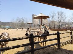 -大连森林动物园