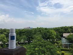 -大湾区中央湿地公园