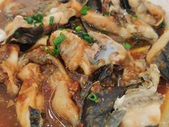 豆豉蒸鲟龙鱼-水上人家河鲜