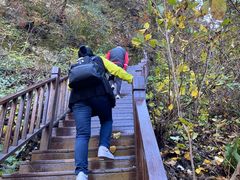 -天女山森林公园
