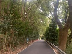 -平湖九龙山旅游度假区