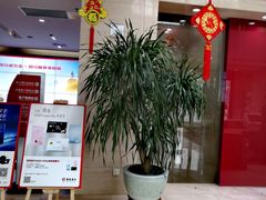 -招商银行(天津分行营业部)