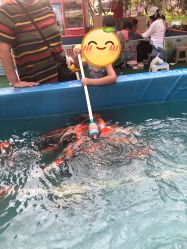 -萌宠亲子动物乐园(槐房万达店)