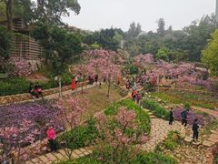 -狐尾山公园
