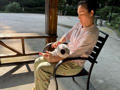 -田螺阿姨自营月嫂·育儿嫂(高新店)