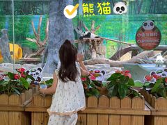 -灵玲国际马戏城