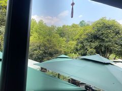 -阿巧茶庄