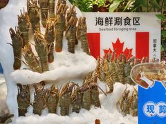 -亚马逊蒸汽活海鲜自助(LCM置汇旭辉广场店)