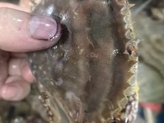 -云南巷海鲜大咖·可加工海鲜