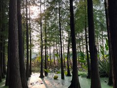 -云龙湖旅游景区