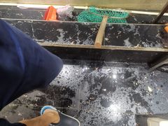 -干老四雅鱼饭店(滨江西路店)