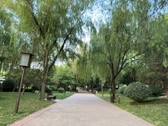 -唐城墙遗址公园