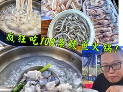 -章记正宗南岗鱼蛋火锅