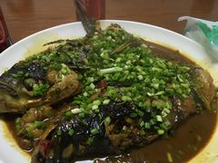 -百丈农家