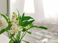 景观位-atta bj(国贸商城店)