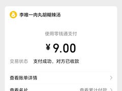 -清真李唯一优质肉丸糊辣汤