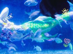 -南昌海洋公园