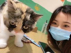 -藏猫猫咖啡主题馆(中央大道店)