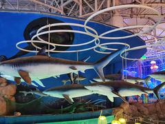 -烟台海昌鲸鲨海洋公园