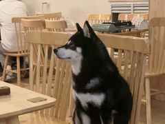 -柴の食堂·日式家庭料理·熊之肆(大学路店)