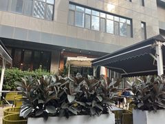 -the rug 飞毯 (朝阳公园店)