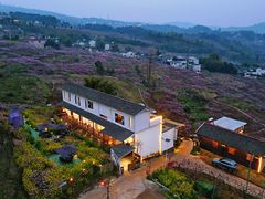 -观清澜疗愈民宿(龙泉山风景区店)