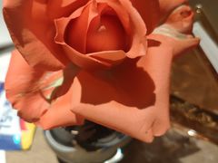 -佐度王子扒房(爱建卓展店)