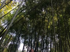 -杭州黄龙洞