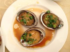 海岛渔村大酒店-海岛渔村大酒店(云霄路店)