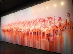 -罗红摄影艺术馆