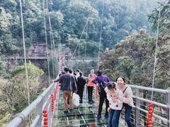 -九龙江国家森林公园