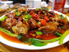 麻辣美容猪蹄-老姑砂锅·烧烤天津菜(体北道店)