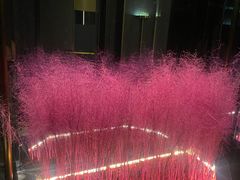 -尚善若水·汤泉·SPA·沐足(东方渔人码头店)