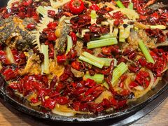 -老板恋上鱼(恒隆广场店)