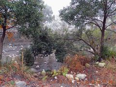 -祁门牯牛降观音堂风景区