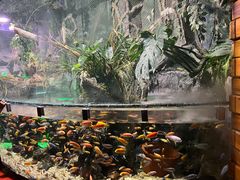 -太平洋海底世界