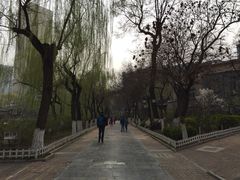 -文瀛公园