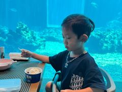 -涛·海底餐厅·美人鱼·自助餐·海底隧道(三亚海棠湾洲际度假酒店)