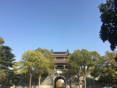 -水绘园