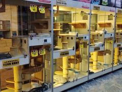 -秀猫阁·猫咪花园(万达店)