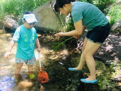 -碓臼峪自然风景区