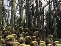 -南山植物园